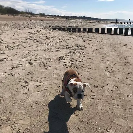 Morski Zakatek Casa vacanze