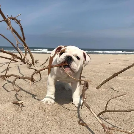 Casa vacanze Morski Zakatek