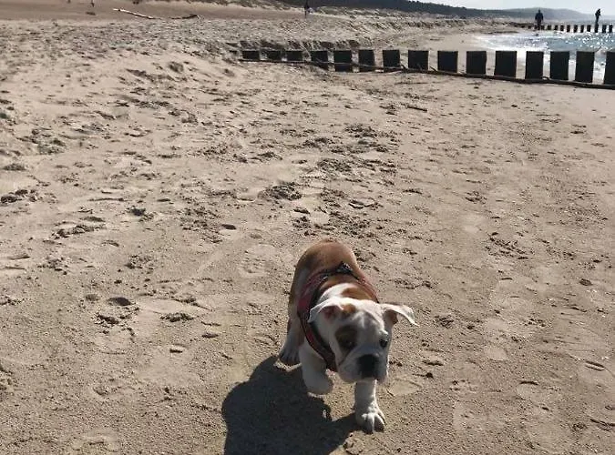 Morski Zakątek Dom wakacyjny