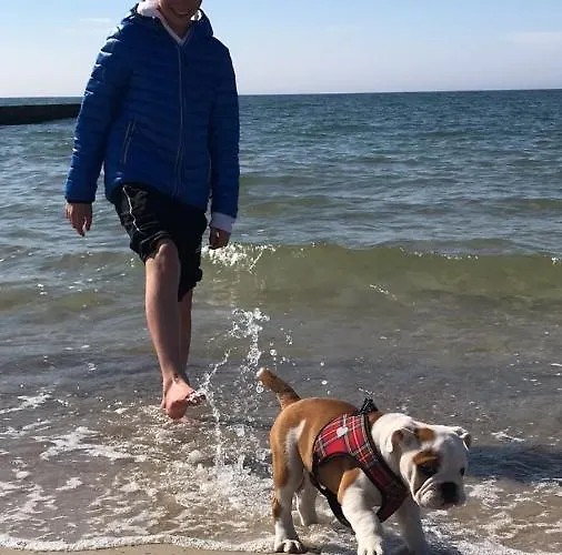 Morski Zakątek Dom wakacyjny Rowy (Pomerania)