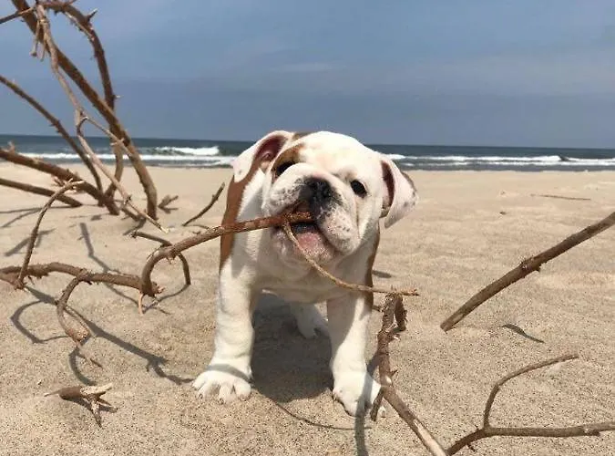 Ferienhaus Morski Zakatek